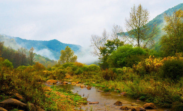 关山草原牧场