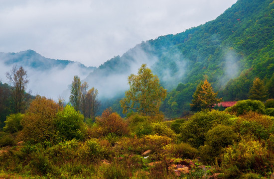 关山草原牧场