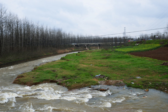 美丽乡村 鱼池 流水 河流