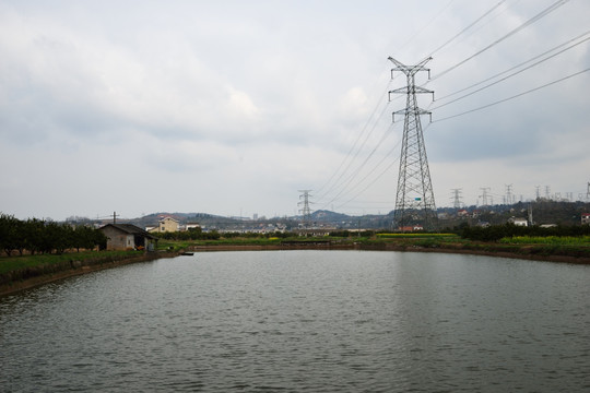 养鱼池 输电线路 鱼塘