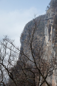 张家界旅游景点