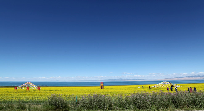 青海湖