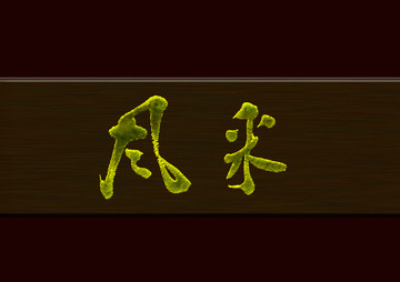 風(fēng)采