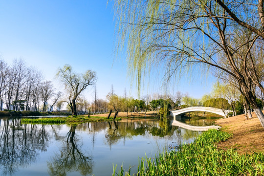 初春的南京情侣园公园园景