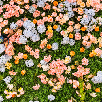 鲜花绿叶背景