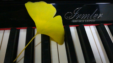 钢琴与落叶摄影图片