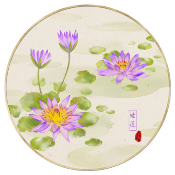 睡蓮
