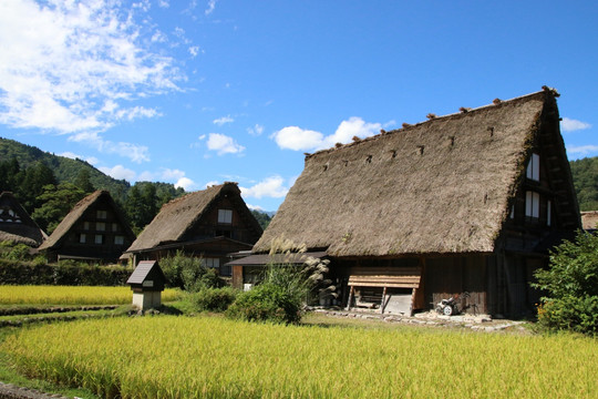 白川乡合掌村