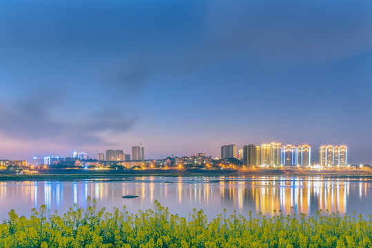 菜花城市夜景