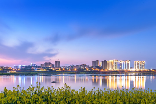 菜花城市夜景