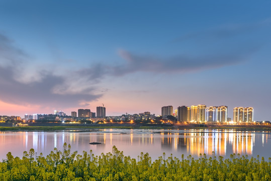 菜花城市夜景