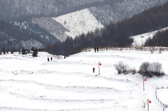 雪乡风景雪村街景