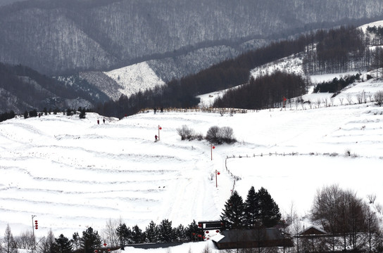 雪乡风景雪村雪地