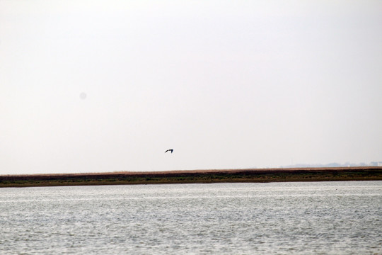 鄱阳湖山水风光