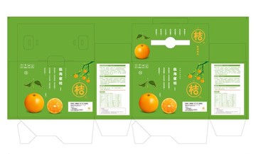 橙子包裝 平面展開圖