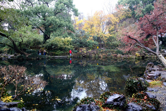 无锡寄畅园秋景