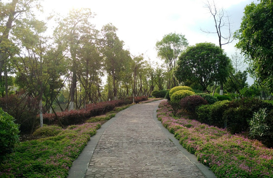 锦城湖公园