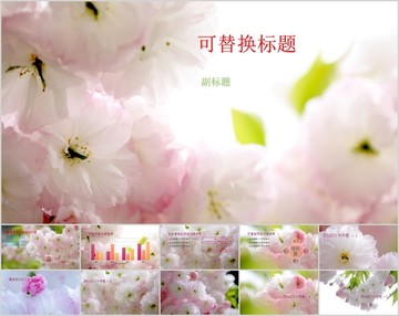 行業(yè)通用櫻花風(fēng)格模板