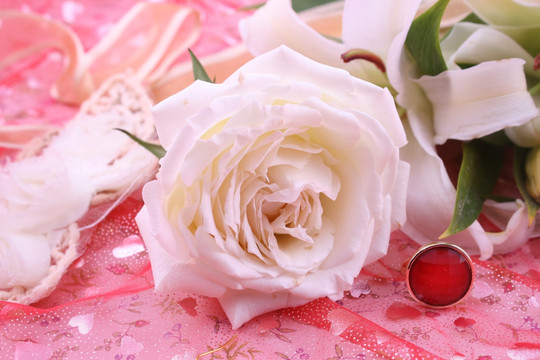 白色浪漫玫瑰花