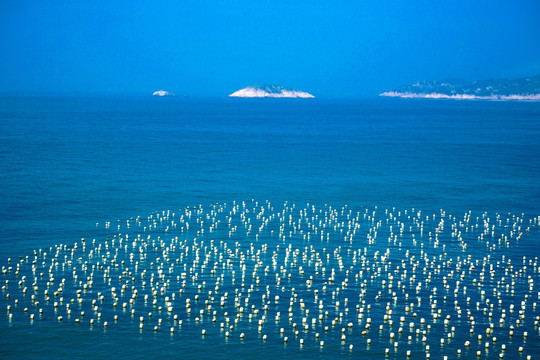 海边  海上养殖场