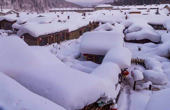 林海雪原  雪乡