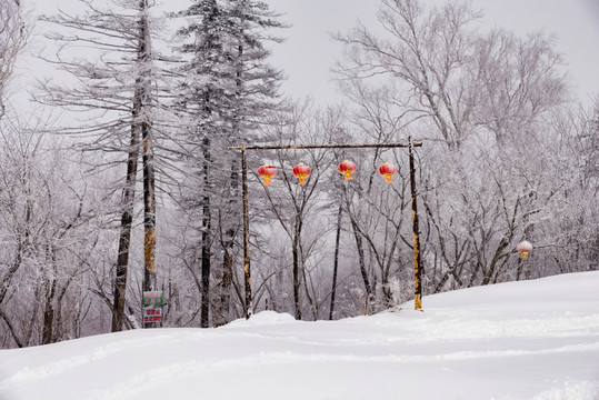 林海雪原  雪乡