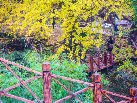 贵州妥乐村景区