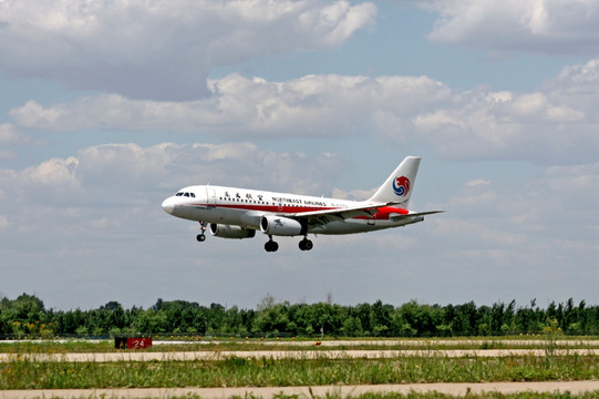 东北航空公司 飞机 航班