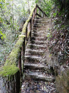 青苔石阶