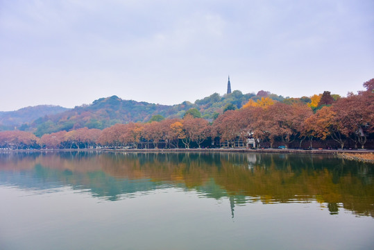 唯美风景 杭州西湖 保淑塔