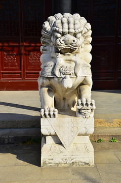 汉白玉石狮雕刻