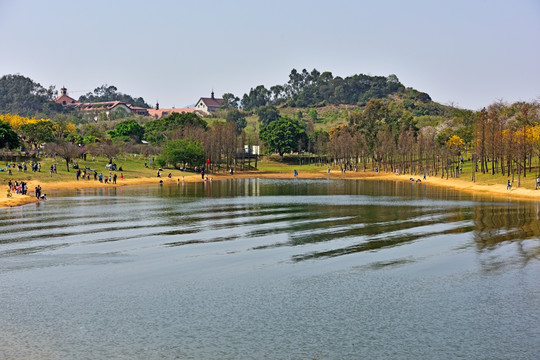 东莞 东莞松山湖