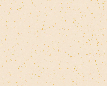 灑金宣紙