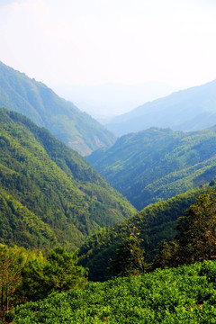 绿色山川