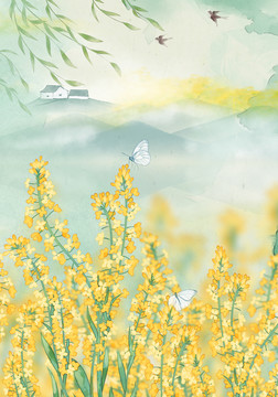 油菜花開