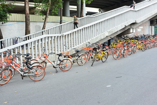 共享单车街景