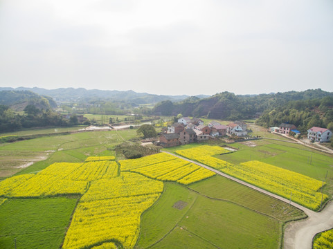 新型农村