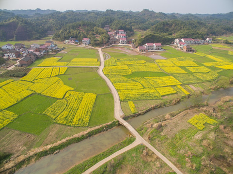 新型农村