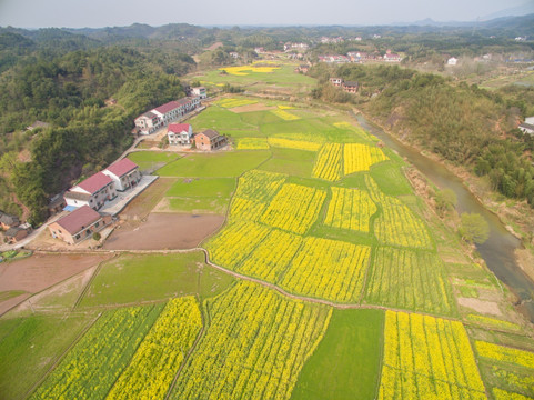 新型农村