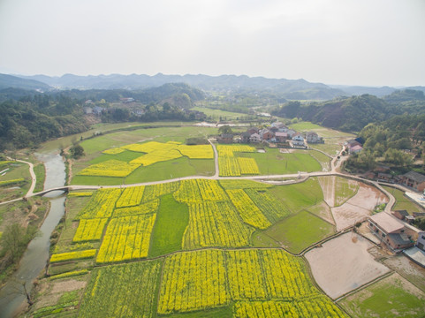 新型农村