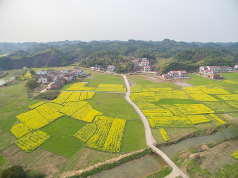 攸县农村风光