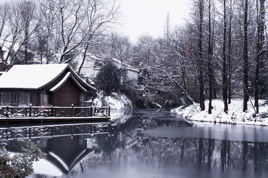 西溪湿地雪景