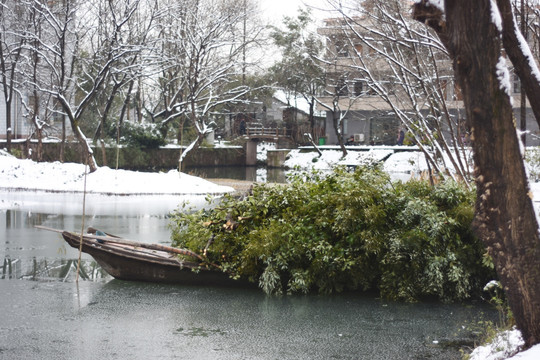 西溪湿地雪景