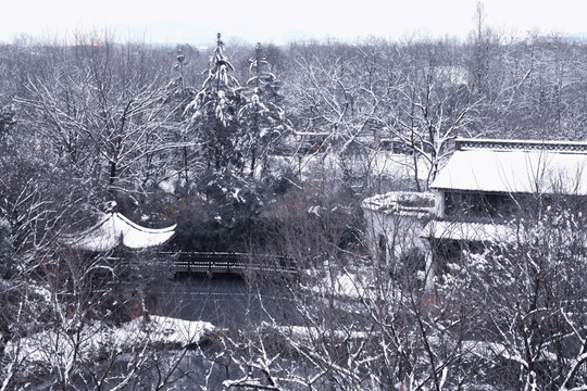 西溪湿地雪景