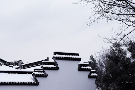 西溪湿地雪景