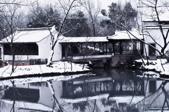 西溪湿地雪景