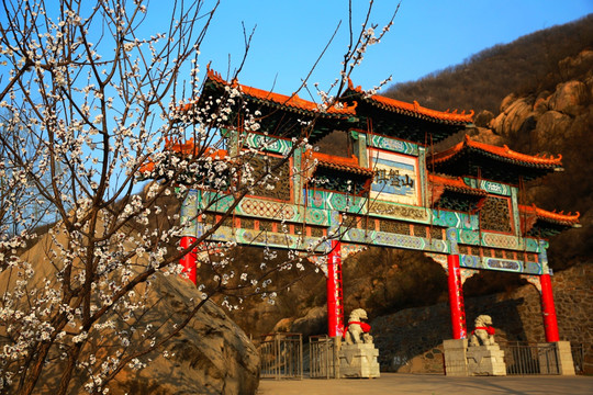 春到棋盘山