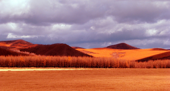 阿尔山田地