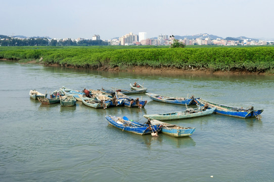 泉州湾湿地风光