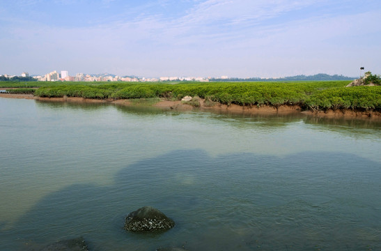 泉州湾湿地